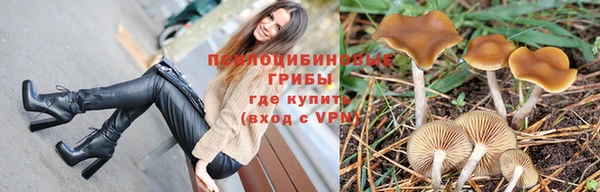 стафф Балахна