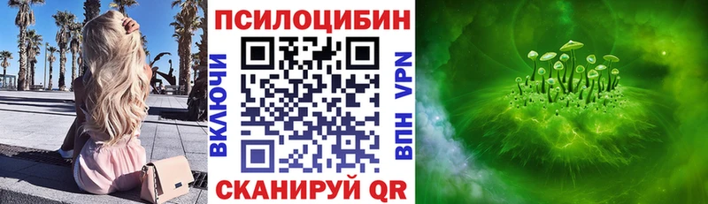 цены наркотик  Богучар  Псилоцибиновые грибы Magic Shrooms 